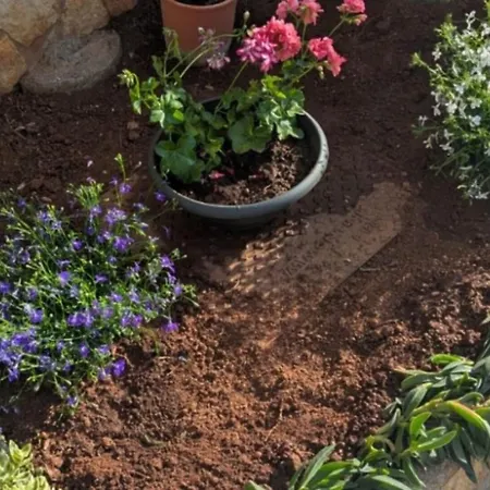 Dom wakacyjny Casa Milo E Vicky *